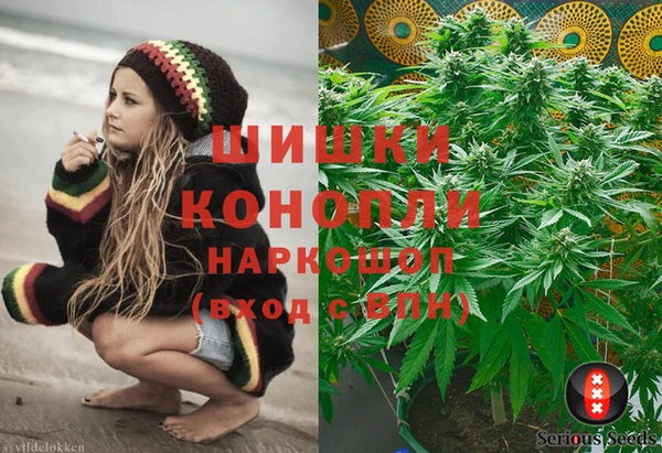 стаф Нефтегорск