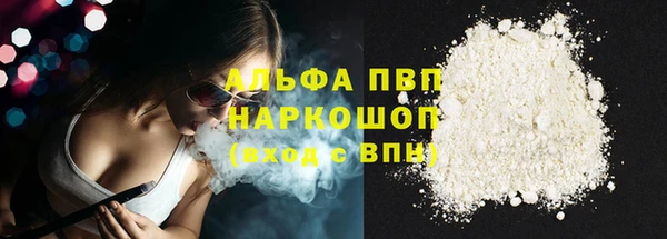 стаф Нефтегорск
