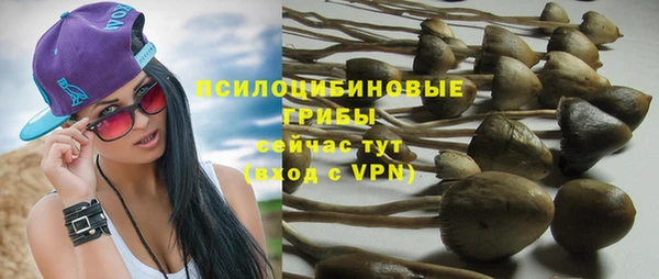 стаф Нефтегорск