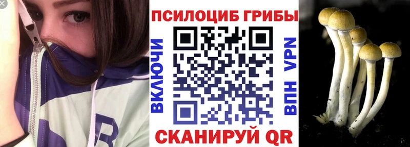 Псилоцибиновые грибы Psilocybine cubensis  закладка  Советский 
