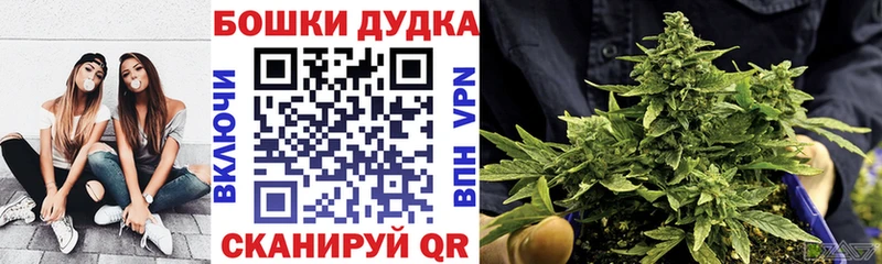 Конопля гибрид  Советский 